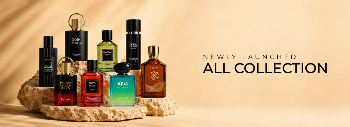 New Launch
